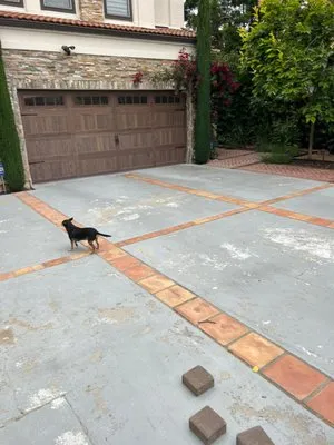 Israel's Service Logo