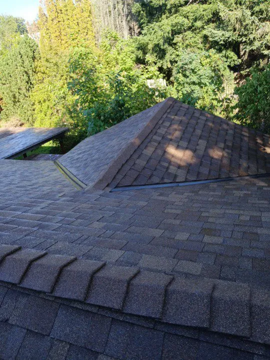 Professional lawn mowing service in Lewiston, ID - Issac CLS