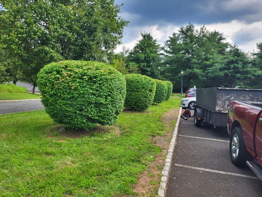 Expert residential landscaping in Bound Brook, NJ - Issac Landscaping