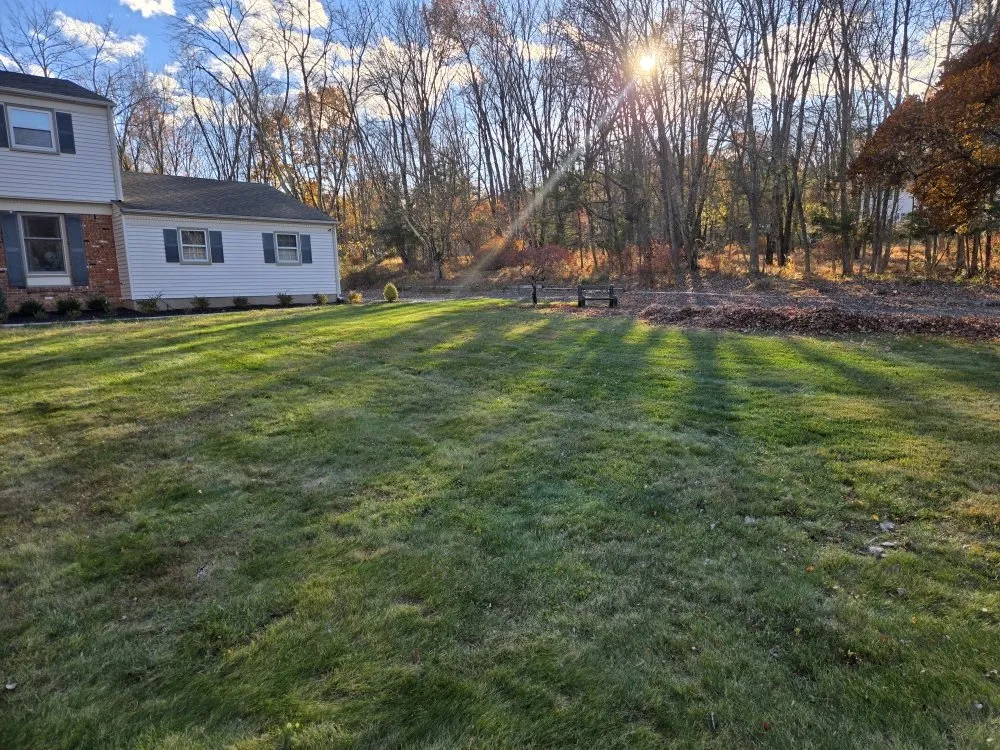 Custom lawn care service experts serving Bound Brook, NJ - Issac Landscaping