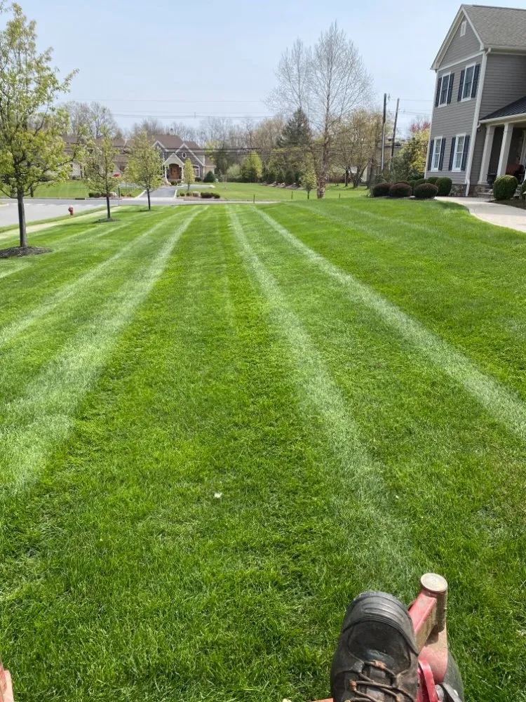 Professional landscape installation in Bound Brook, NJ - Issac Landscaping