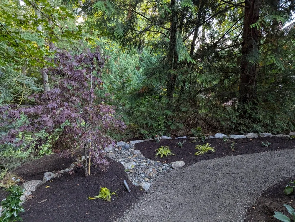 Professional outdoor landscaping in Issaquah, WA by Issaquah Landscaping