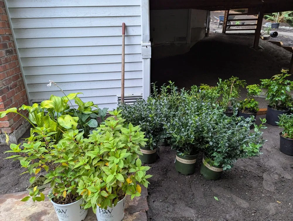 Top-rated yard cleanup service for beautiful yards in Issaquah, WA by Issaquah Landscaping