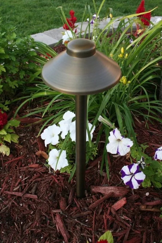 Trusted yard cleanup service in Issaquah, WA by Issaquah Landscaping