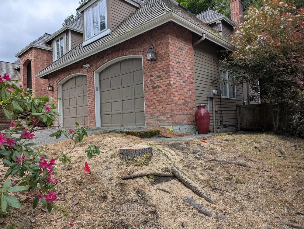 Professional lawn mowing service for outdoor upgrades across Issaquah, WA - Issaquah Landscaping