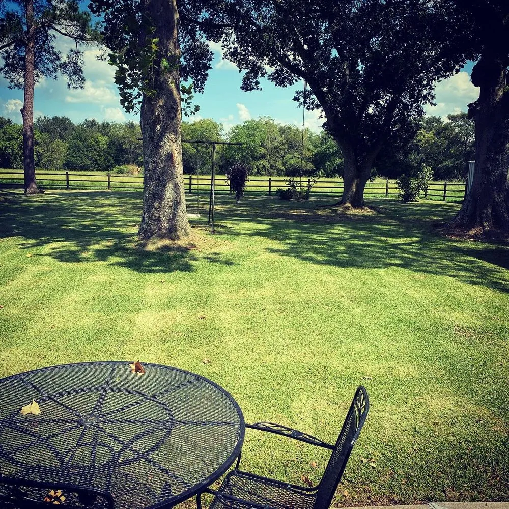 Expert outdoor landscaping in Church Point, LA by Istre Lawn Care