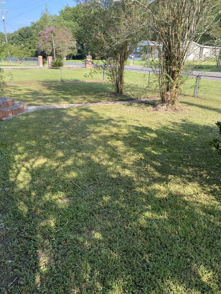 Trusted yard maintenance in Church Point, LA - Istre Lawn Care