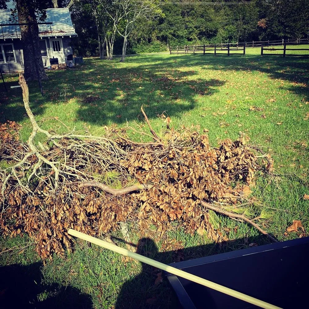 Top-rated lawn mowing service for residential properties in Church Point, LA by Istre Lawn Care