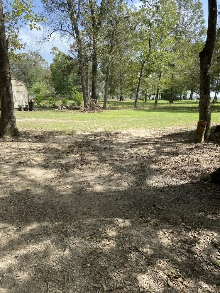 Top-rated lawn care service for beautiful yards in Church Point, LA by Istre Lawn Care