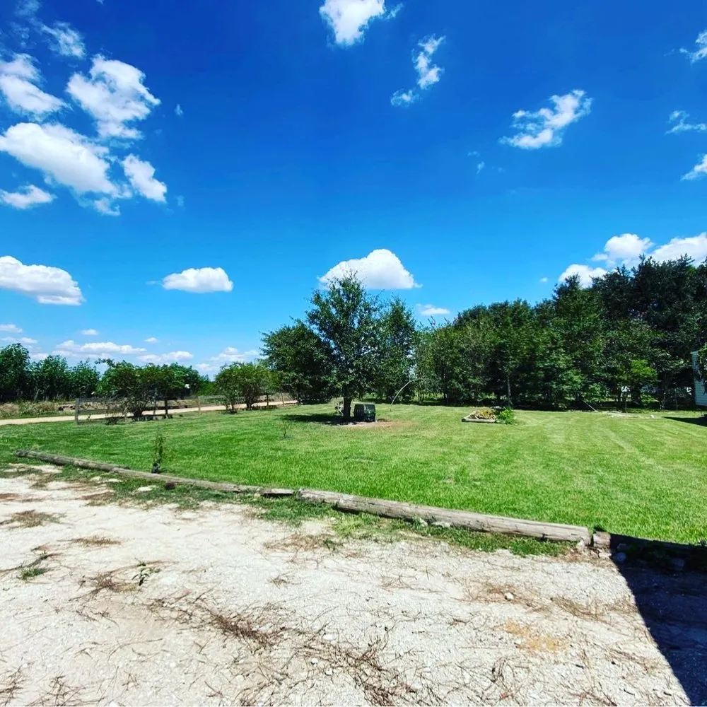 Professional yard cleanup service near you across Church Point, LA - Istre Lawn Care