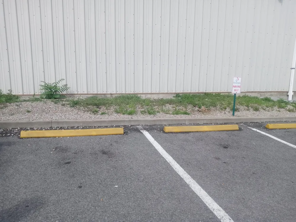 Local landscaping services in Clarksburg, WV - It Could Be Us Lawncare