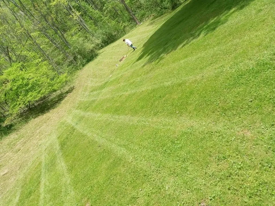 Top-rated yard maintenance in Clarksburg, WV by It Could Be Us Lawncare