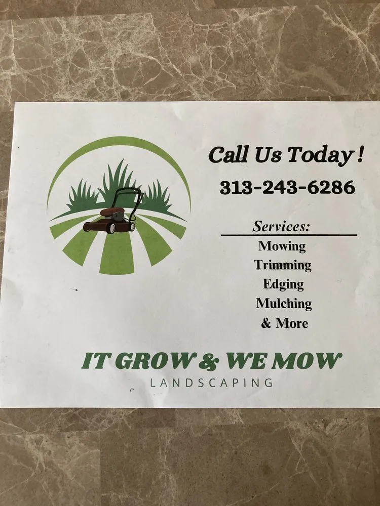 Top-rated outdoor landscaping in Detroit, MI by It Grow & We Mow