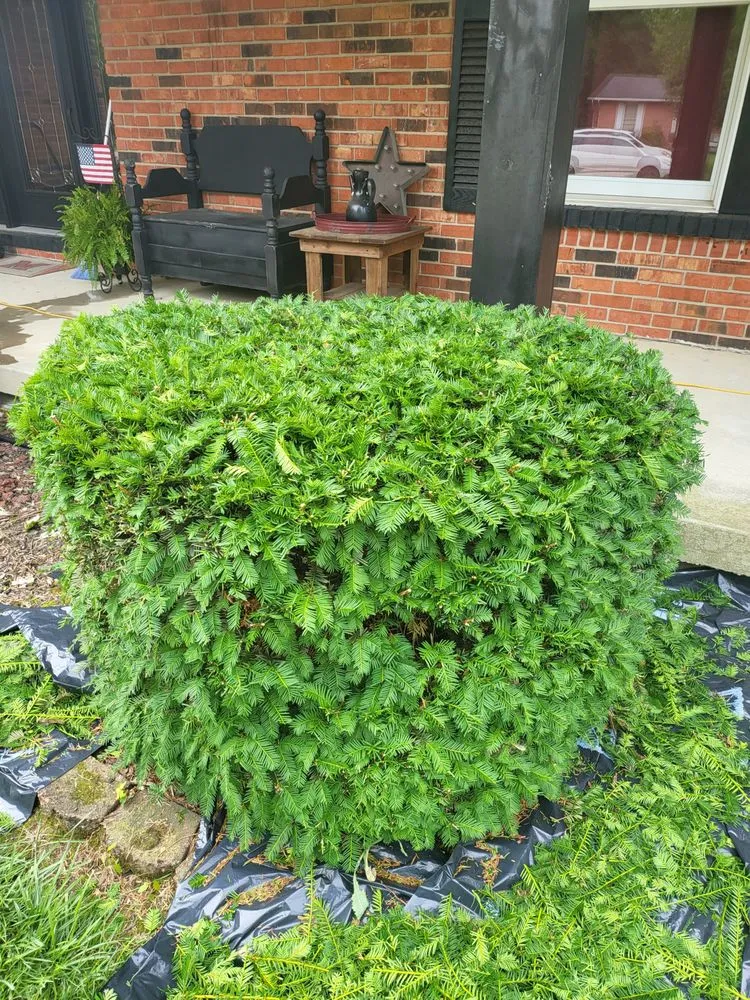 Custom landscape installation with custom design across Hamilton, OH - It Is Well Lawn and Home