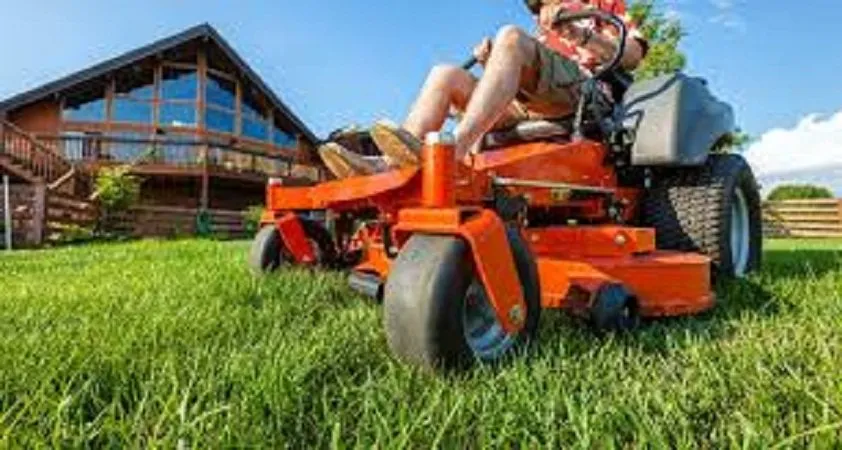 Professional residential landscaping experts serving Bluff City, TN - It Is What It Is Tree Service