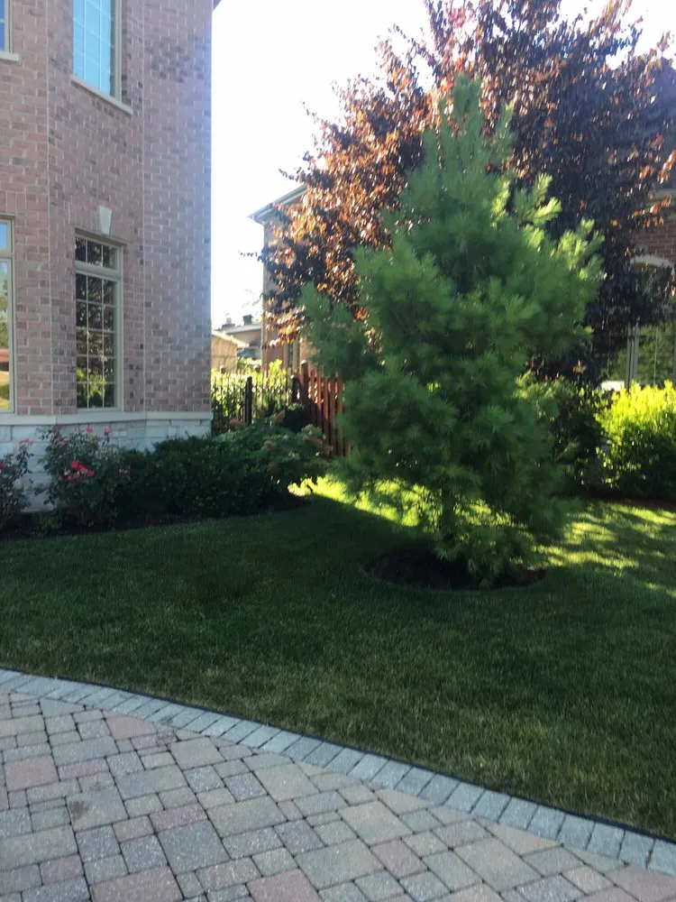 Custom residential landscaping for beautiful yards in Chicago, IL by Italian Gardens Landscaping