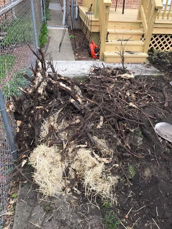 Expert lawn mowing service for outdoor upgrades across Chicago, IL - Italian Gardens Landscaping