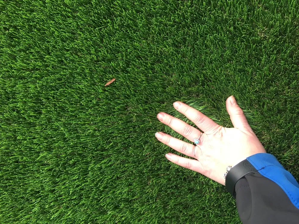 Trusted yard maintenance experts serving Van Nuys, CA - Italuce Construction & Development