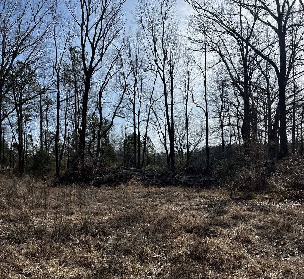 Top-rated lawn mowing service with custom design across Fulton, MS - Itawamba Cleaners