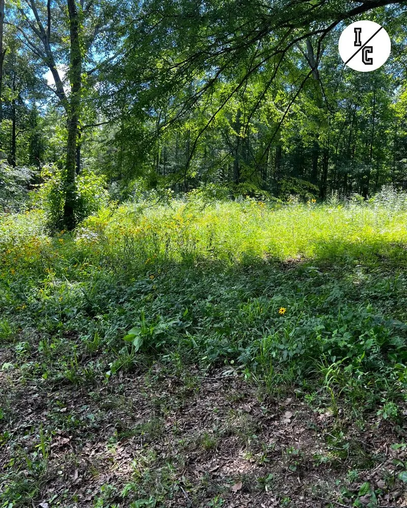 Custom lawn care service for outdoor upgrades in Fulton, MS by Itawamba Cleaners