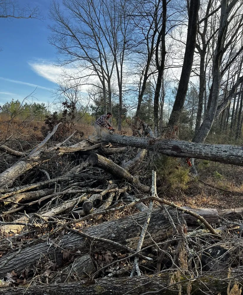 Professional landscape installation experts serving Fulton, MS - Itawamba Cleaners