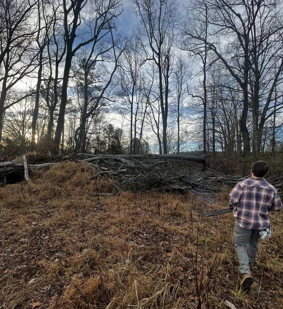 Reliable landscape installation for outdoor upgrades in Fulton, MS by Itawamba Cleaners
