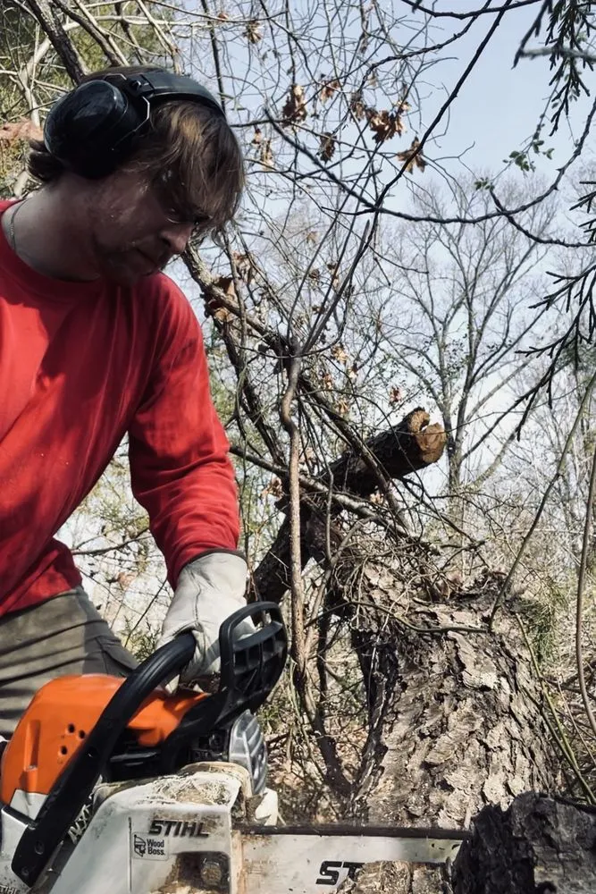 Reliable landscape installation in Fulton, MS - Itawamba Cleaners