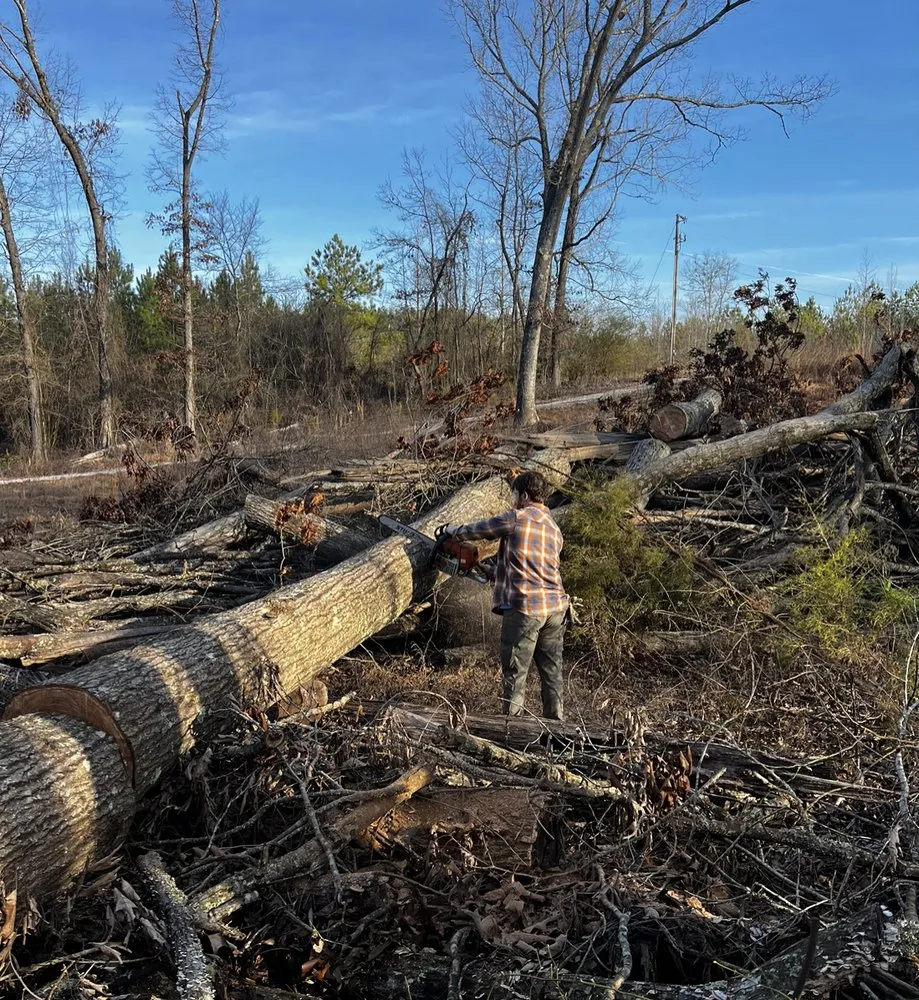 Expert landscape design for residential properties in Fulton, MS by Itawamba Cleaners