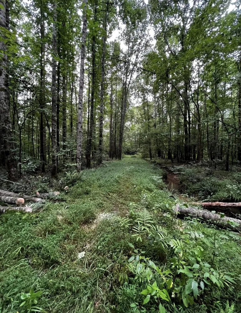 Local landscape installation in Fulton, MS - Itawamba Cleaners