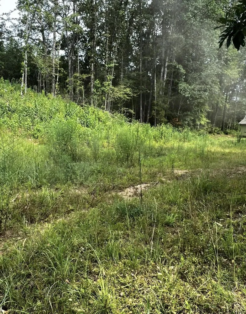 Professional garden landscaping in Fulton, MS by Itawamba Cleaners