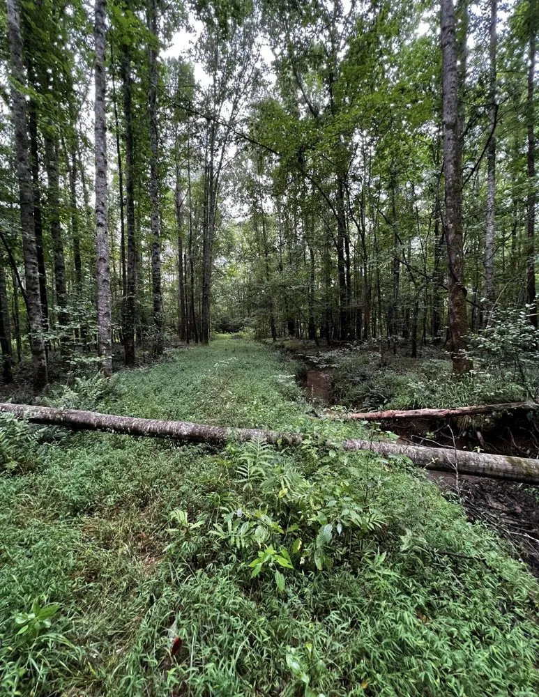 Local landscape installation for outdoor upgrades in Fulton, MS by Itawamba Cleaners