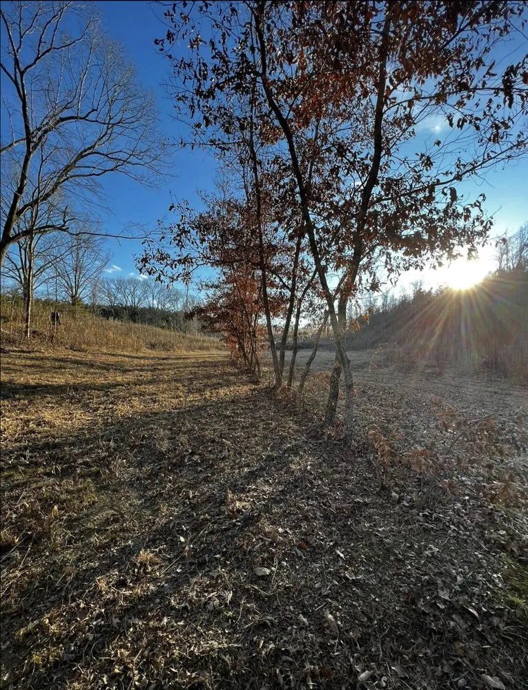 Reliable landscape installation in Fulton, MS - Itawamba Cleaners