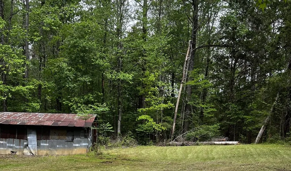 Local residential landscaping for residential properties in Fulton, MS by Itawamba Cleaners