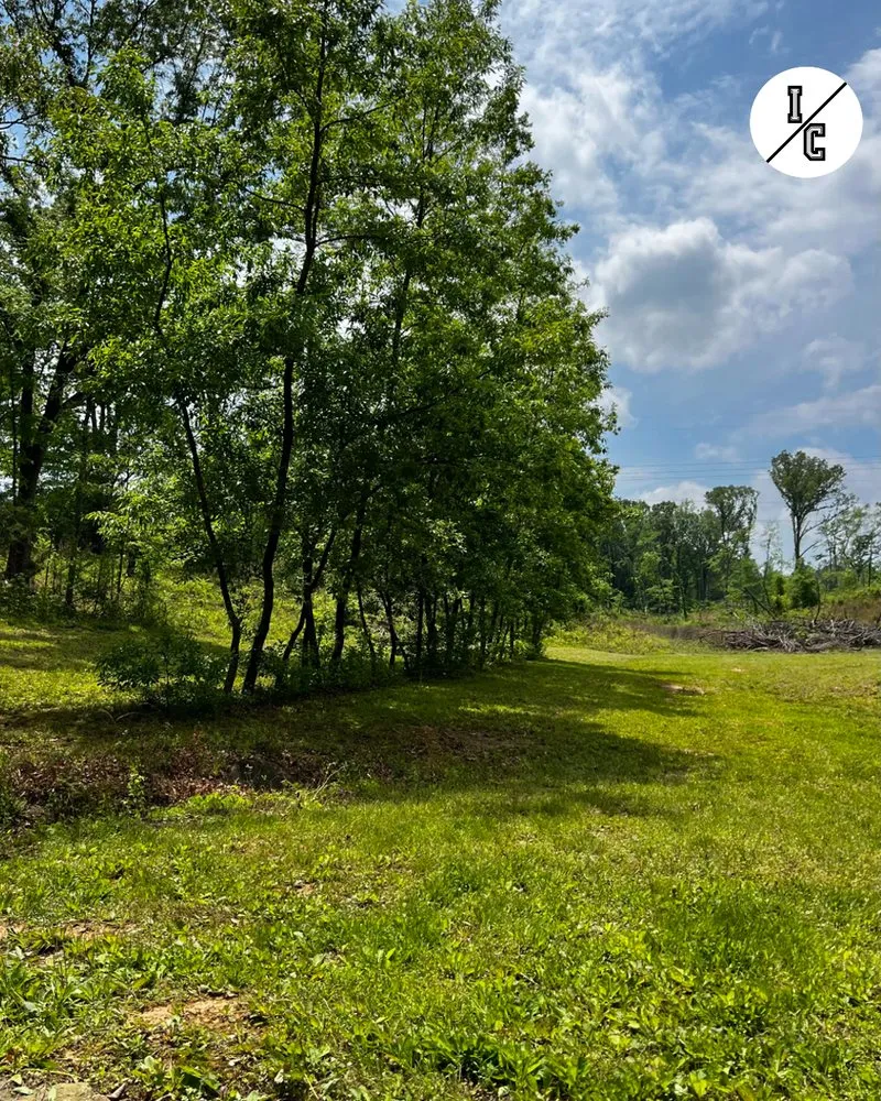 Reliable yard cleanup service for outdoor upgrades across Fulton, MS - Itawamba Cleaners