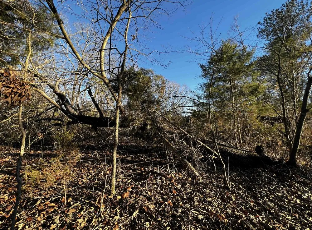 Reliable lawn care service in Fulton, MS by Itawamba Cleaners