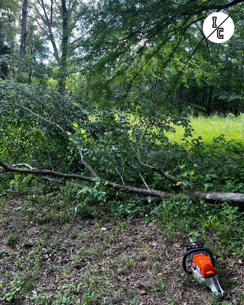 Local landscape installation for residential properties across Fulton, MS - Itawamba Cleaners