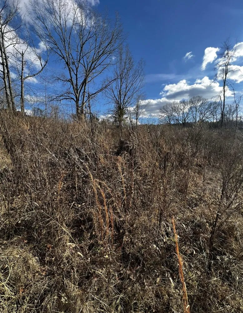 Professional lawn care service for year-round maintenance across Fulton, MS - Itawamba Cleaners