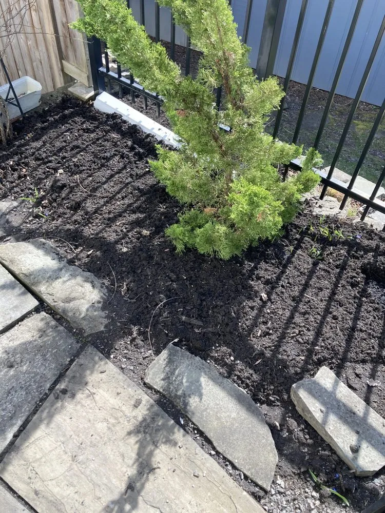 Top-rated yard maintenance for outdoor upgrades across Hartwick Seminary, NY - Ithaca Lawn and Landscaping