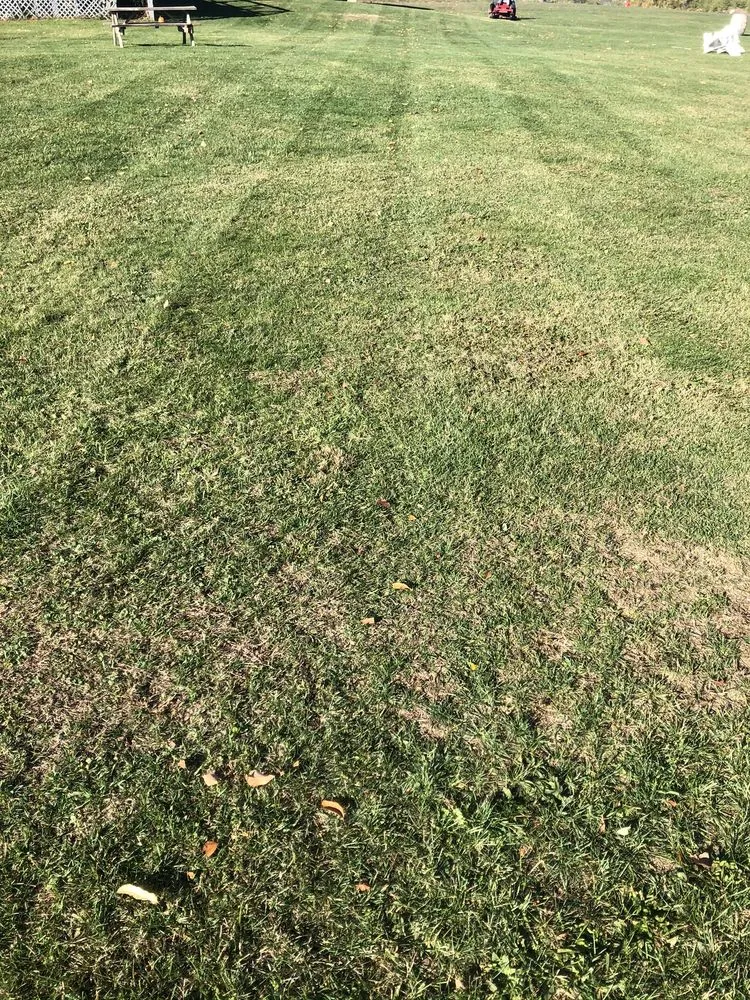 Local landscaping services for homes across Hartwick Seminary, NY - Ithaca Lawn and Landscaping