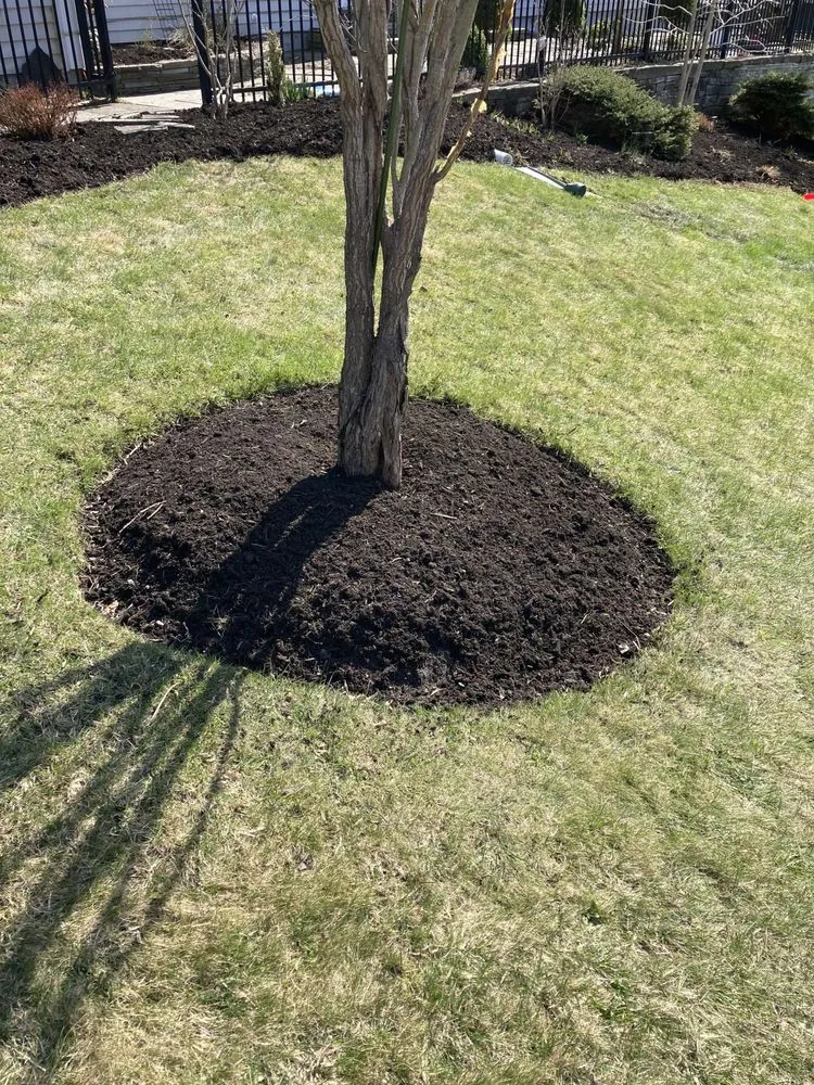 Custom lawn mowing service in Hartwick Seminary, NY - Ithaca Lawn and Landscaping