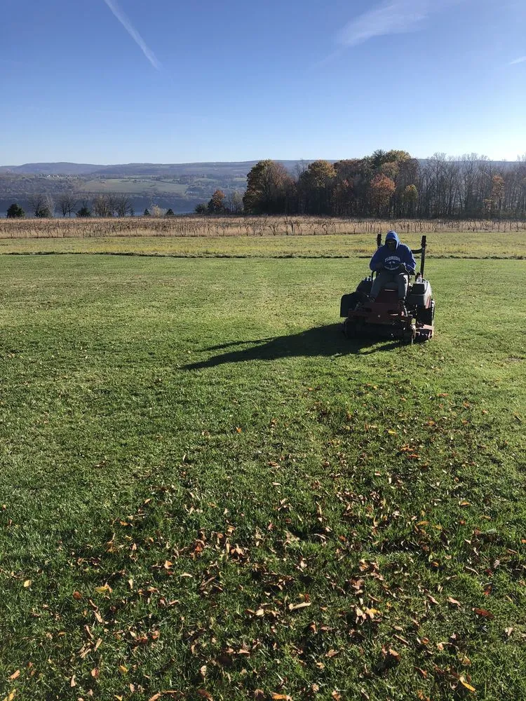 Professional residential landscaping for beautiful yards across Hartwick Seminary, NY - Ithaca Lawn and Landscaping