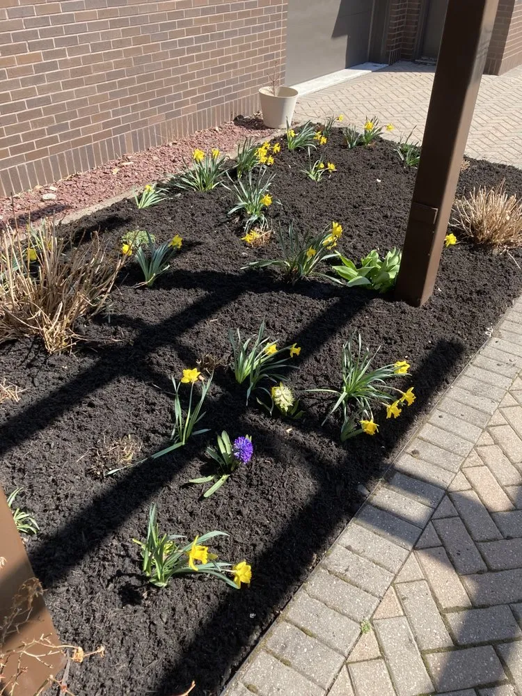 Professional garden landscaping in Hartwick Seminary, NY - Ithaca Lawn and Landscaping