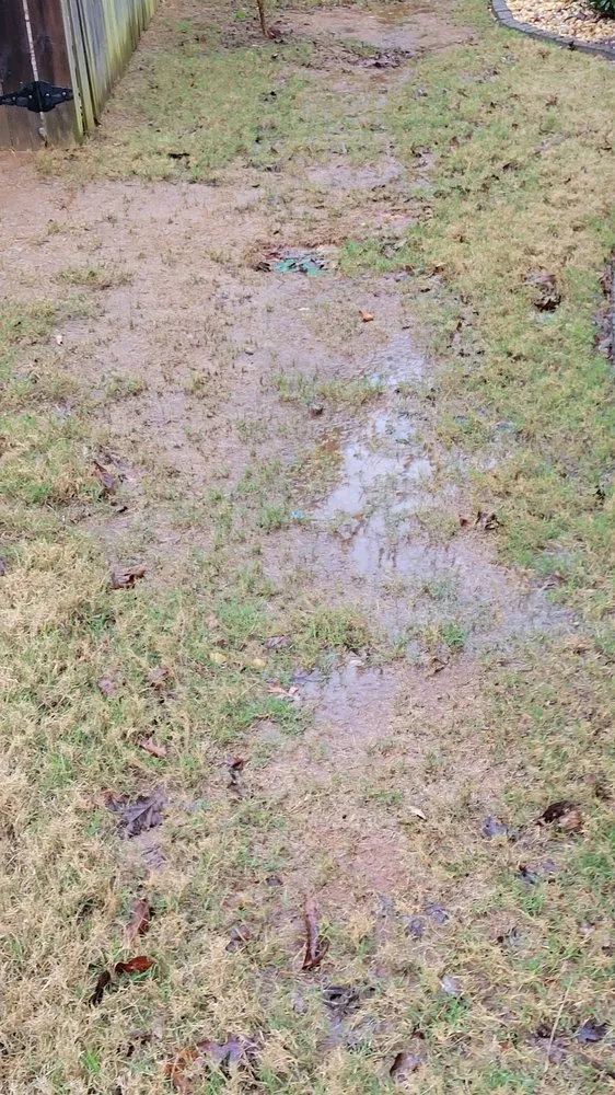 Affordable yard maintenance for year-round maintenance across Lawrenceville, GA - ITM Landscape