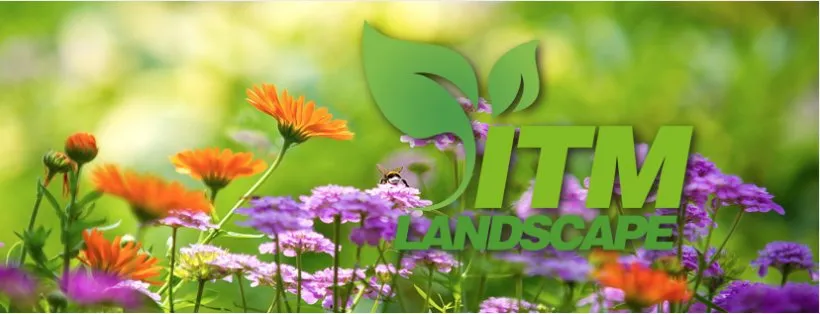 Custom yard cleanup service in Lawrenceville, GA by ITM Landscape