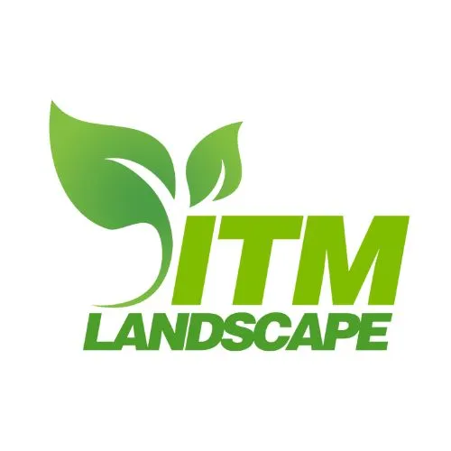 Professional yard cleanup service experts serving Lawrenceville, GA - ITM Landscape