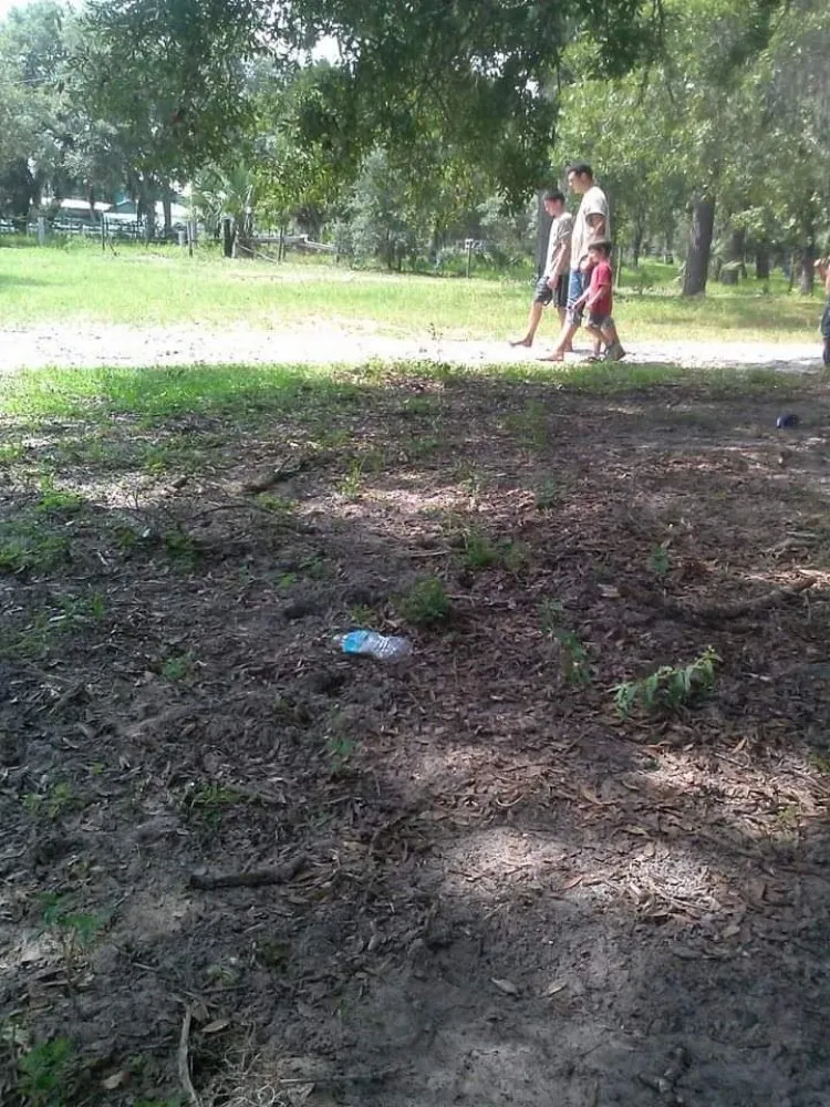 Reliable landscape design with custom design in Sorrento, FL by It's A Kiss A Farner Kinda Thing