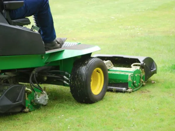 Local lawn care service for outdoor upgrades across Sorrento, FL - It's A Kiss A Farner Kinda Thing