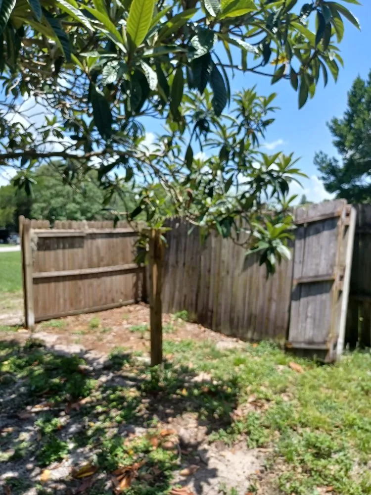 Local garden landscaping in Sorrento, FL - It's A Kiss A Farner Kinda Thing