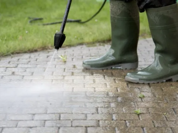 Reliable garden landscaping experts serving Sorrento, FL - It's A Kiss A Farner Kinda Thing