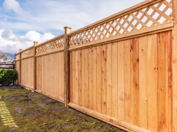 Trusted yard maintenance for outdoor upgrades across Sorrento, FL - It's A Kiss A Farner Kinda Thing